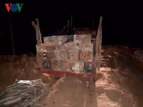 Số gỗ tang vật.