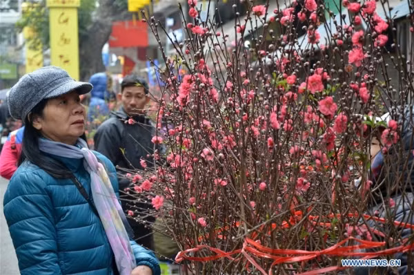 Nếu như ở Trung Quốc, trong mỗi dịp Tết Nguyên đán không thể thiếu đôi câu đối đỏ thì trong mỗi gia đình Việt Nam ngày Tết cũng không thể thiếu cành đào, cành mai hay đôi cặp bánh chưng.