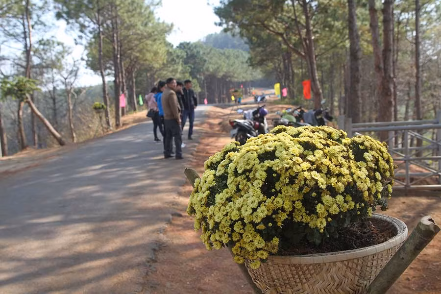 Biển Hồ sẽ có thêm điểm nhấn từ những chậu hoa trang trí. Ảnh: Văn Ngọc