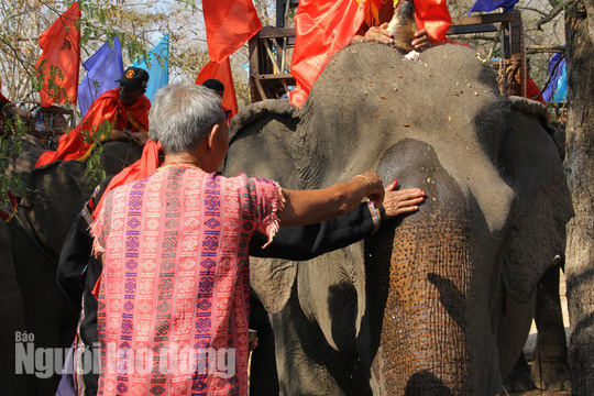 Nghi thức bôi huyết lên đầu để cầu mong thần linh ban cho voi thật nhiều sức khỏe. Nghi thức bôi huyết lên đầu để cầu mong thần linh ban cho voi thật nhiều sức khỏe.