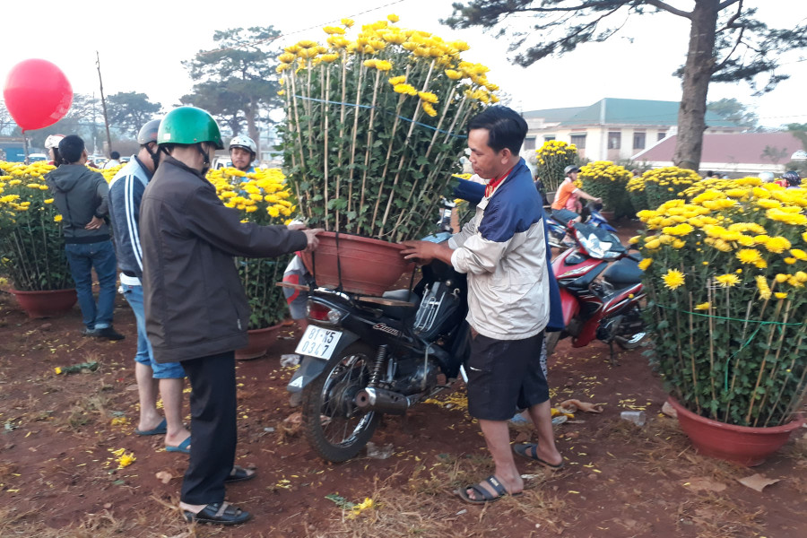 Người mua tranh thủ mua hoa về trưng trong nhà đón Tết. Ảnh: N.T