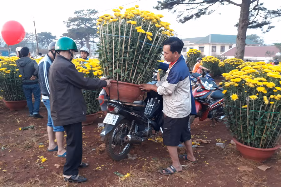 Người mua tranh thủ mua hoa về trưng trong nhà đón Tết. Ảnh: N.T