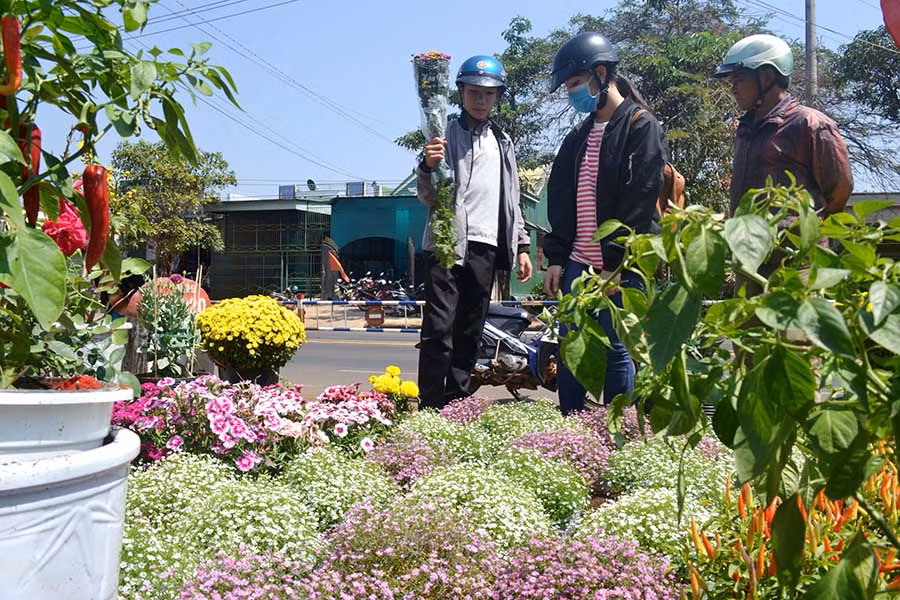 Người dân chọn mua hoa tại chợ hoa Xuân Đức Cơ. Ảnh: Lê Hòa