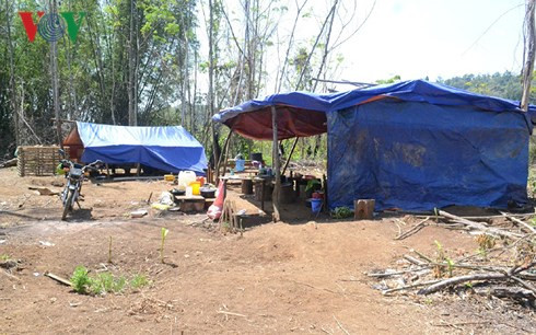  Các đối tượng lập lán trại để thuận lợi cho việc phá rừng.