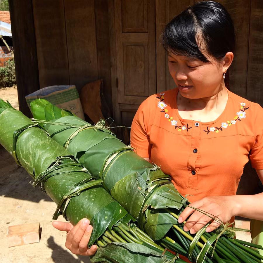 Lá dong được chị Lương Thị Lượng chuẩn bị khá sớm để gói bánh chưng. Ảnh: H.N