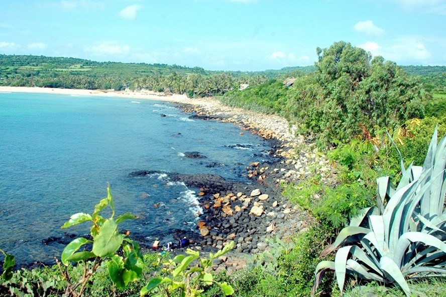 Gánh Đá Đĩa, vẻ đẹp độc đáo của thiên nhiên Phú Yên.