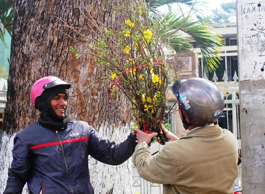 Nhánh mai nhỏ có giá vài trăm ngàn đồng. Ảnh: Nguyễn Tú Nhánh mai nhỏ có giá vài trăm ngàn đồng