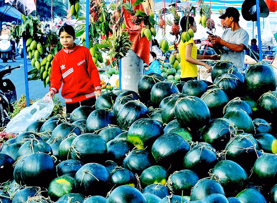 Dưa hấu miền Tây phục vụ người dân ngày tết