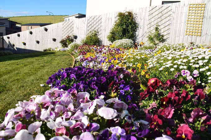 Nhà không có hệ thống tưới tự động, không thuê người giúp nên chị Luyến phải sắp xếp thời gian dành cho công việc, gia đình, vườn và cho bản thân chị. Chị vừa đi học vừa đi làm thêm 5 ngày mỗi tuần (8 giờ một ngày).