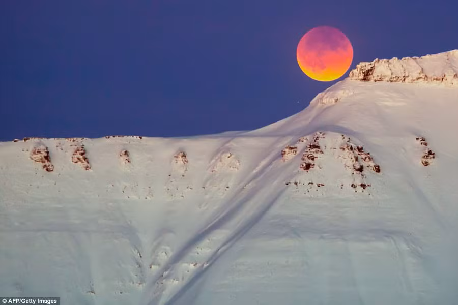 Bầu trời đêm ngày rằm ở vùng Longyearbyen, Na Uy, ngày 31/1. Mặt Trăng cũng có màu đỏ trong lúc diễn ra nguyệt thực bởi ảnh hưởng từ lượng ánh sáng Mặt Trời chiếu qua Trái Đất. Ảnh: AFP.