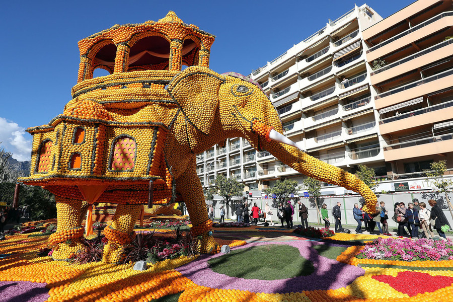 Một mô hình con voi làm từ cam và chanh trong chủ đề Bollywood năm nay.