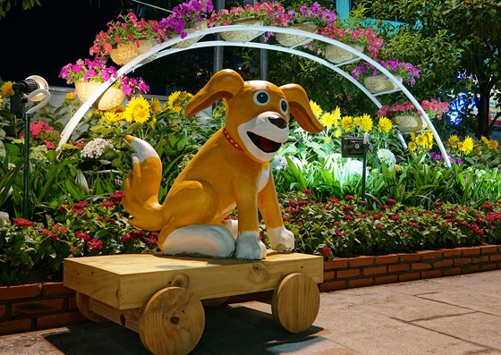 Một chú chó ngộ nghĩnh tại đường hoa.