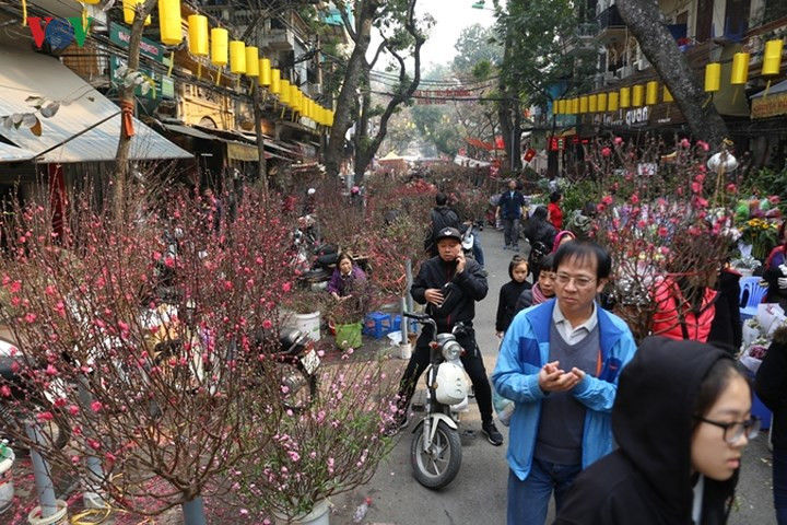 Tại chợ hoa Hàng Lược rất đông người dân Hà Nội đã ra để chọn lựa những cành đào chơi Tết.