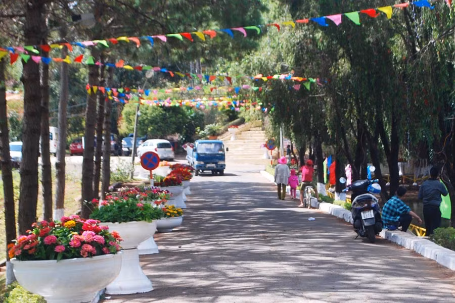 Công ty cổ phần Công trình đô thị Gia Lai đã đặt 40 chậu hoa và và trang trí 200 m2 hoa lá dọc theo các con đường trong công viên. Ảnh: Nguyễn Tú