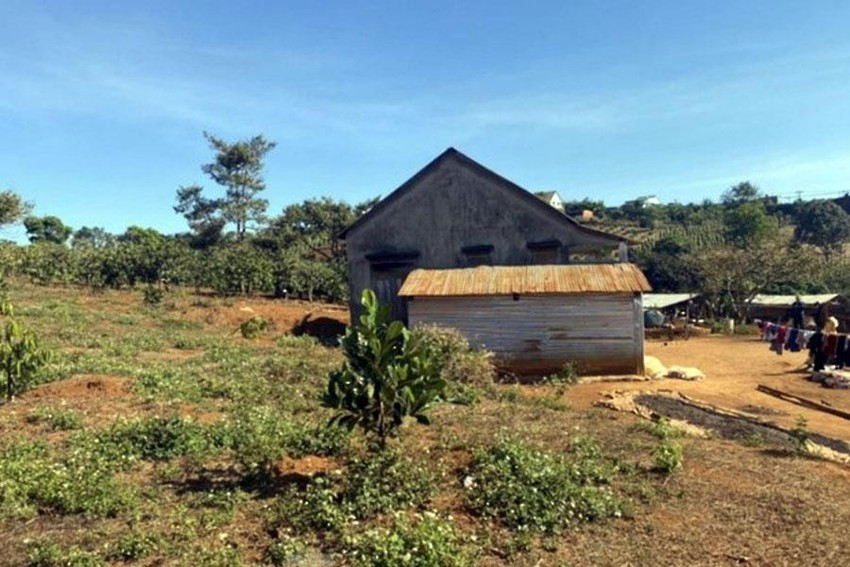 Một phần khu đất cấp sai cho gia đình ông Nguyễn Thanh Sơn ở xã Trường Xuân, huyện Đắk Song. Ảnh: VL