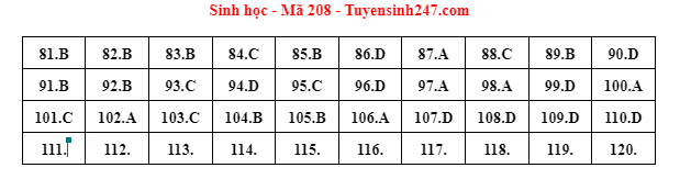 Đáp án mã đề 208 môn Sinh học kỳ thi tốt nghiệp THPT 2022. Đáp án do giáo viên Tuyensinh247 thực hiện. Đáp án mã đề 208 môn Sinh học kỳ thi tốt nghiệp THPT 2022. Đáp án do giáo viên Tuyensinh247 thực hiện.