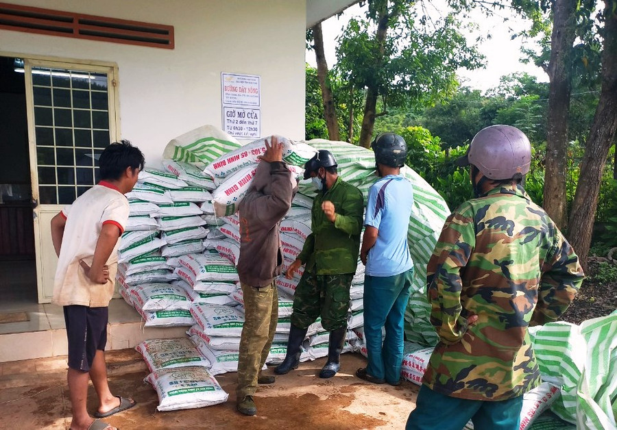 Người dân xã Ngọc Réo nhận giống cây và phân bón. Ảnh: TH Người dân xã Ngọc Réo nhận giống cây và phân bón. Ảnh: TH