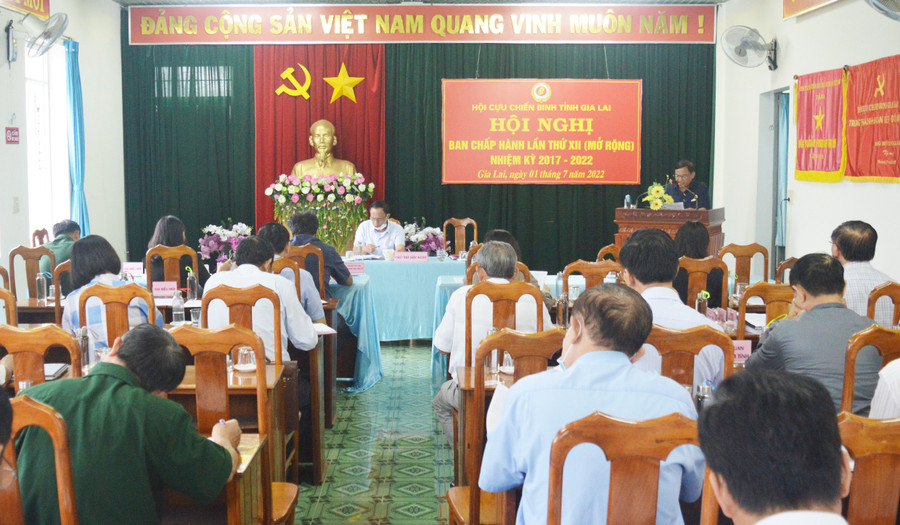 Quang cảnh hội nghị. Ảnh: Anh Huy