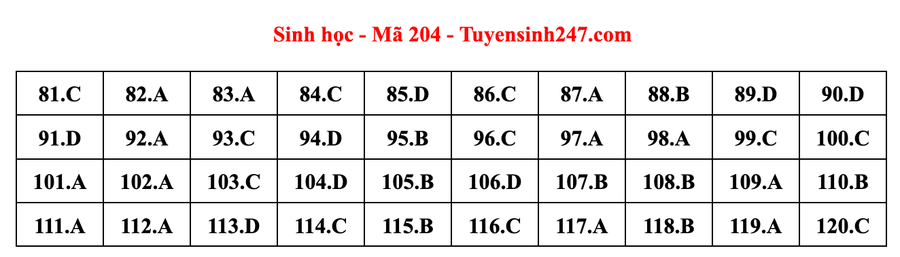 Đáp án mã đề 204 môn Sinh học kỳ thi tốt nghiệp THPT 2022. Đáp án do giáo viên Tuyensinh247 thực hiện. Đáp án mã đề 204 môn Sinh học kỳ thi tốt nghiệp THPT 2022. Đáp án do giáo viên Tuyensinh247 thực hiện.