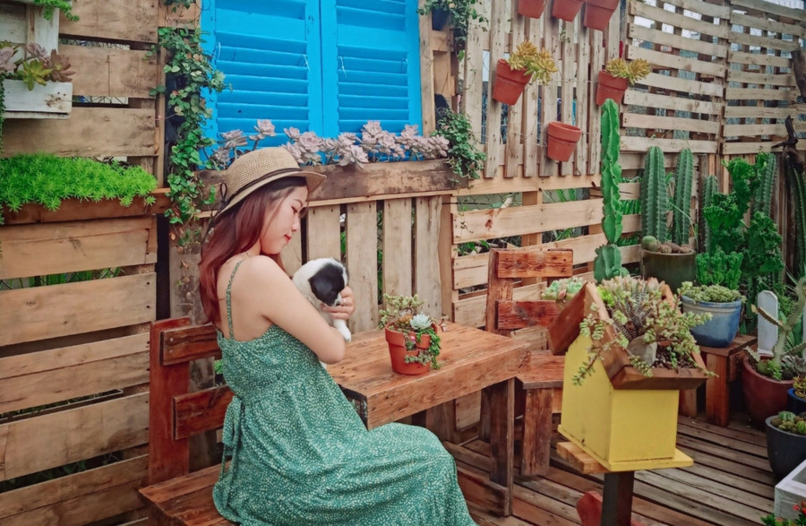 Cửa hàng cây kiểng của chị Phượng còn là nơi chị 