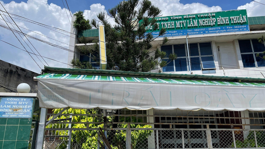 Công ty TNHH MTV lâm nghiệp Bình Thuận. Ảnh: H.L