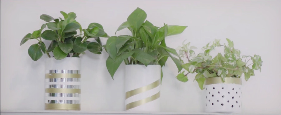 Chậu cây tái chế từ các hộp nhựa. Ảnh: NVCC Chậu cây tái chế từ các hộp nhựa. Ảnh: NVCC