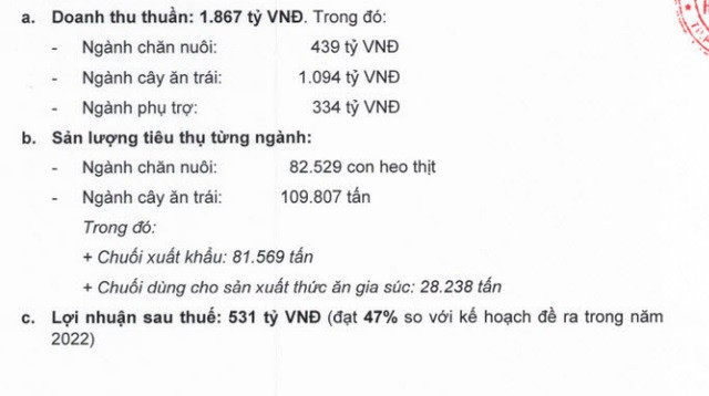 Tình hình kinh doanh 6 tháng đầu năm 2022 của HAGL. Ảnh: cafef.vnTình hình kinh doanh 6 tháng đầu năm 2022 của HAGL. Ảnh: cafef.vn