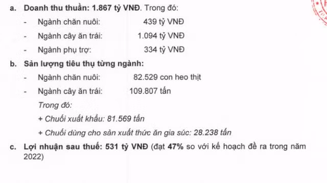 Tình hình kinh doanh 6 tháng đầu năm 2022 của HAGL. Ảnh: cafef.vnTình hình kinh doanh 6 tháng đầu năm 2022 của HAGL. Ảnh: cafef.vn