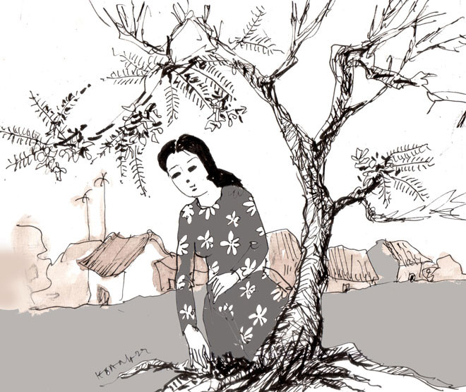  Minh họa: HOÀNG ĐẶNG