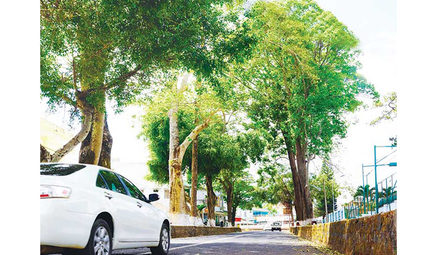 Để mãi nhớ Pleiku một thời mịt mờ mưa, quanh co dốc, vời vợi xanh