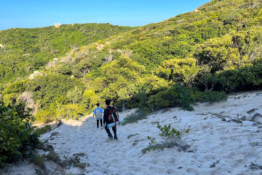 Con đường chạy xuyên qua những cánh rừng trên cát. Ảnh: Mai Thanh Hải