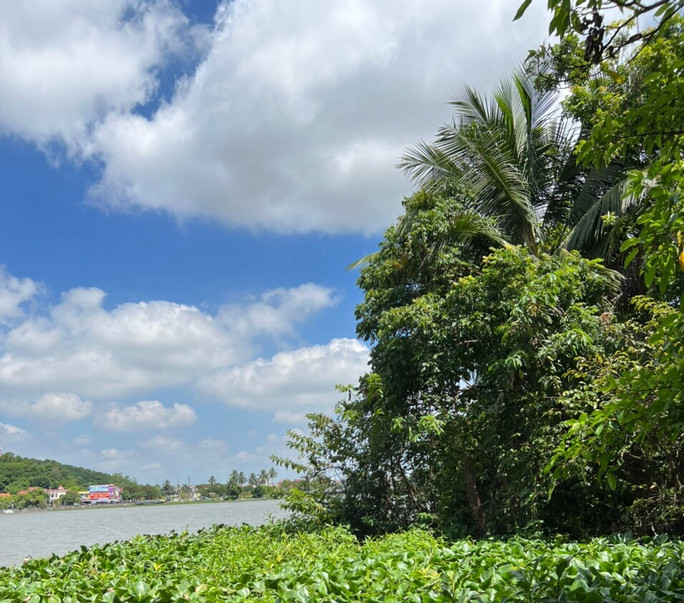 Khu vực phát hiện ông L. tử vong trong tư thế treo cổ Khu vực phát hiện ông L. tử vong trong tư thế treo cổ