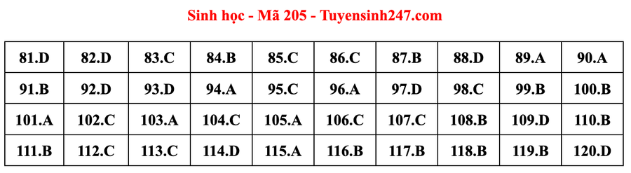 Đáp án mã đề 205 môn Sinh học kỳ thi tốt nghiệp THPT 2022. Đáp án do giáo viên Tuyensinh247 thực hiện. Đáp án mã đề 201 môn Sinh học kỳ thi tốt nghiệp THPT 2022. Đáp án do giáo viên Tuyensinh247 thực hiện.