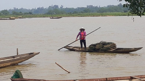 Dân chài làng Bách Lộc đánh bắt thủy sản trên sông Cánh Hòm  Dân chài làng Bách Lộc đánh bắt thủy sản trên sông Cánh Hòm