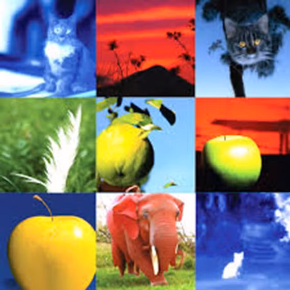 Những hình ảnh phong phú tạo ra từ DALL-E