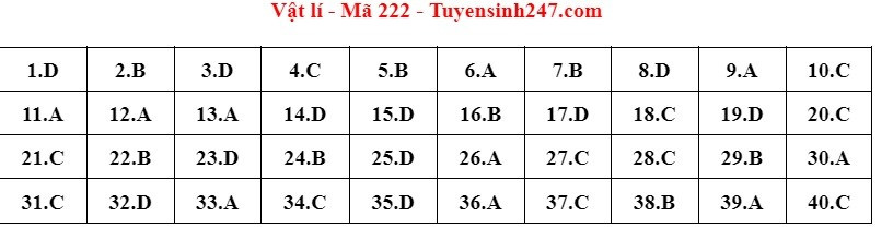 Đáp án đề thi môn Vật Lý mã đề 222 thi THPT 2022 