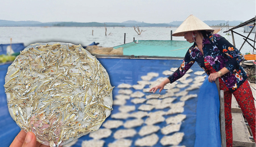 Bánh tráng cá cơm, một đặc sản ở làng chài trên lòng hồ thủy điện Sê San 4 (huyện Ia Grai). Ảnh: Phương Duyên
