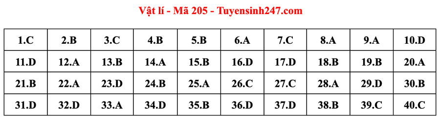 Đáp án đề thi môn Vật lý mã đề 205 kỳ thi tốt nghiệp THPT 2022. Ảnh: CMH.
