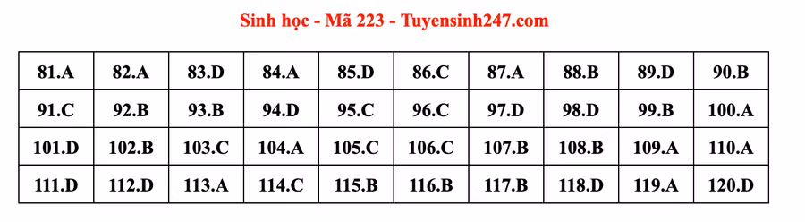 Đáp án mã đề 208 môn Sinh học kỳ thi tốt nghiệp THPT 2022. Đáp án do giáo viên Tuyensinh247 thực hiện.