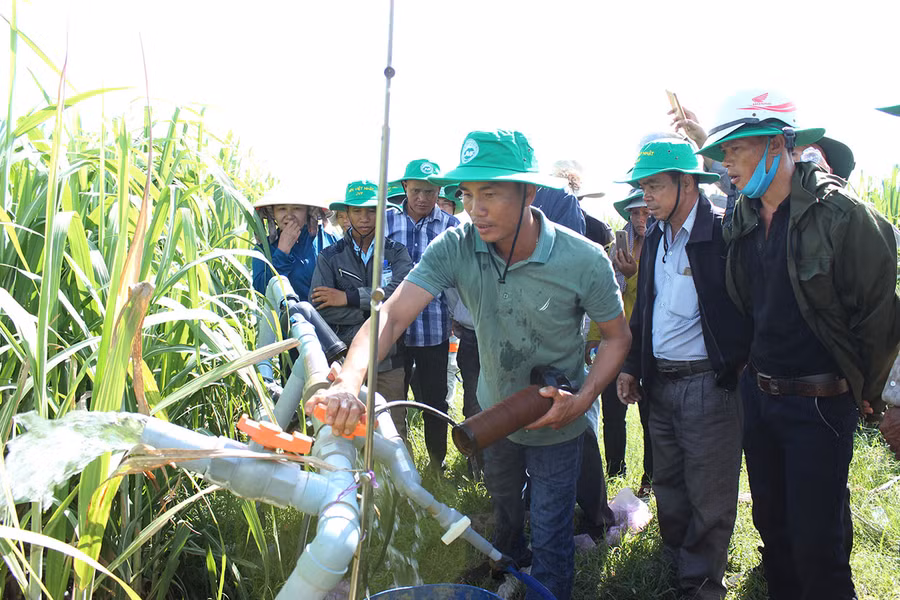 Công ty TTC Gia Lai tổ chức nông dân tham quan học tập mô hình tưới nước, bón phân qua hệ thống tưới nhỏ giọt. Ảnh: Nguyễn Diệp