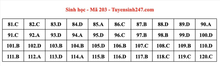 Đáp án mã đề 203 môn Sinh học kỳ thi tốt nghiệp THPT 2022. Đáp án do giáo viên Tuyensinh247 thực hiện. Đáp án mã đề 203 môn Sinh học kỳ thi tốt nghiệp THPT 2022. Đáp án do giáo viên Tuyensinh247 thực hiện.