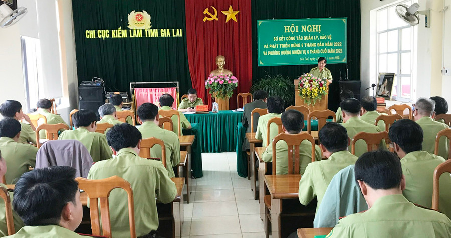 Gia Lai: 6 tháng đầu năm không để xảy ra cháy rừng ảnh 1  Quang cảnh cuộc họp. Ảnh: Nguyễn Diệp