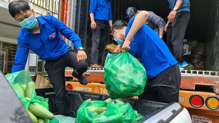 Tuổi trẻ TP. Đà Lạt chuyển rau củ lên 