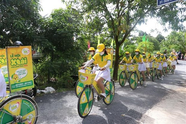 (Ảnh minh họa: Nguyễn Văn Trí/TTXVN) (Ảnh minh họa: Nguyễn Văn Trí/TTXVN)