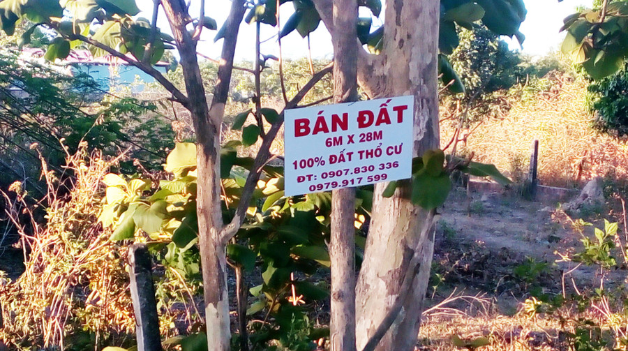 Áp mức thuế cao với người đầu cơ đất, chậm sử dụng hoặc bỏ đất hoang vừa có thể ngăn được đầu cơ đất đai. Ảnh: HL Áp mức thuế cao với người đầu cơ đất, chậm sử dụng hoặc bỏ đất hoang vừa có thể ngăn được đầu cơ đất đai. Ảnh: HL