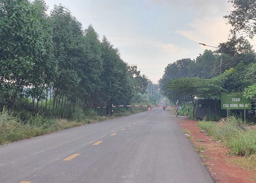 Đường vào Khu dự trữ sinh quyển thế giới tại Đồng Nai. Ảnh: LÊ LÂM  Đường vào Khu dự trữ sinh quyển thế giới tại Đồng Nai. Ảnh: LÊ LÂM