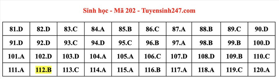 Đáp án mã đề 202 môn Sinh học kỳ thi tốt nghiệp THPT 2022. Đáp án do giáo viên Tuyensinh247 thực hiện. Đáp án mã đề 201 môn Sinh học kỳ thi tốt nghiệp THPT 2022. Đáp án do giáo viên Tuyensinh247 thực hiện.