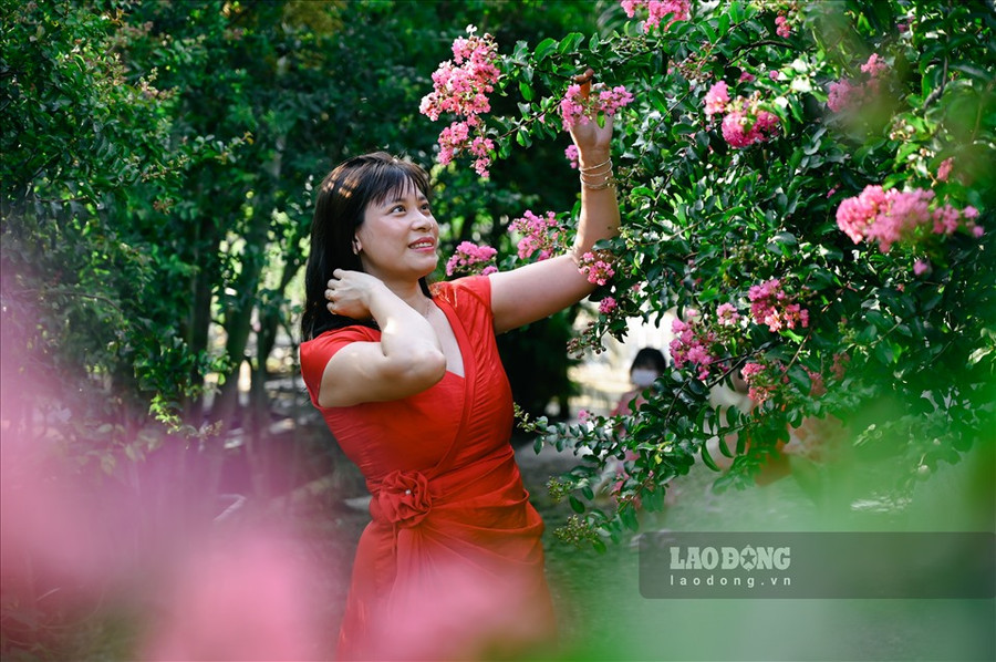 Với giá vé vào tham quan, chụp ảnh là 50.000 đồng, đường hoa còn có nhiều dịch vụ đa dạng như cho thuê trang phục, đạo cụ và các phương tiện như xe đạp, thuyền... với giá dao động từ 20.000 - 50.000 đồng.