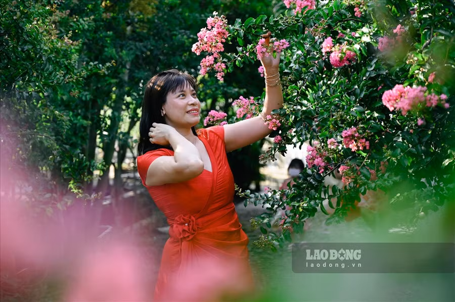 Với giá vé vào tham quan, chụp ảnh là 50.000 đồng, đường hoa còn có nhiều dịch vụ đa dạng như cho thuê trang phục, đạo cụ và các phương tiện như xe đạp, thuyền... với giá dao động từ 20.000 - 50.000 đồng.