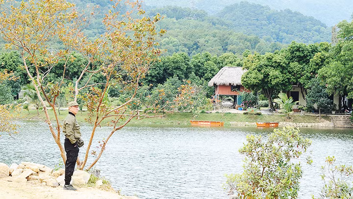 Mong manh vành đai xanh